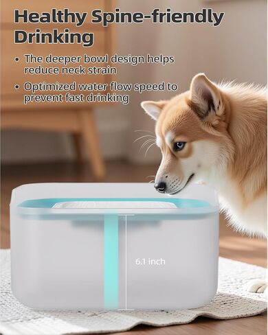 8L/2.1Gal Dog Water Fountain for Medium to Large Dogs, Spine-Friendly Dog Water Bowl Dispenser with Ultra Quiet Pump & Multiple Filtration for Dogs Cats Multi-Pet Home in Saudi Arabia