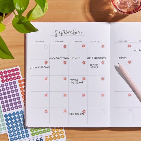 Erin Condren Date Dots Calendar Stickers, 12 Months of Date Dot Stickers, For Undated Planners, Agendas & Calendars, Clear Sticker Design in Saudi Arabia