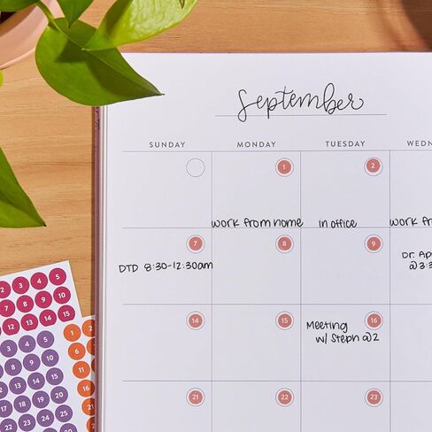 Erin Condren Date Dots Calendar Stickers, 12 Months of Date Dot Stickers, For Undated Planners, Agendas & Calendars, Clear Sticker Design in Saudi Arabia