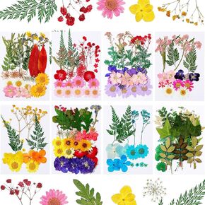 200 Pieces Real Dried Pressed Flowers Resin Flowers for Resin Mold Real Daisy Dried Flower Leaves for Scrapbooking DIY Candle Accessories Jewelry Crafts Making