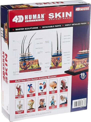 نموذج تشريح الجلد البشري Famemaster 4D-Vision in Kuwait