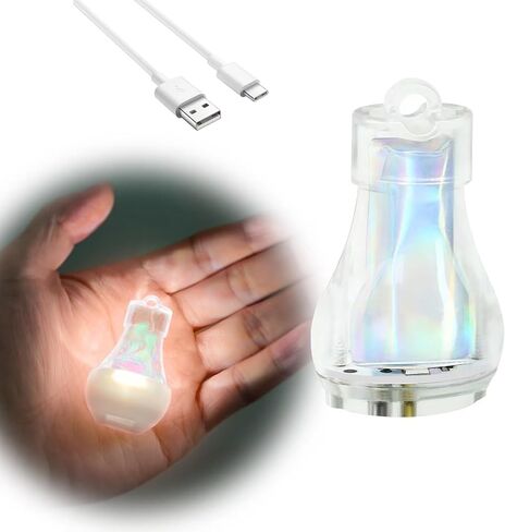 Mini Lantern LED Flashlight, Small Keychain Flashlight Rechargeable USB, Waterproof Pocket Purse Light with Magnetic for Camping Nighttime, EDC Gear Tools Keychian Light (White-2Pcs) in Saudi Arabia