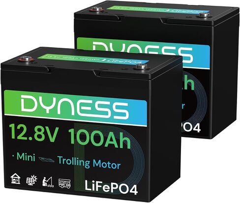 12V 100AH LIFEPO4 Lithium Lithium Battery (2 Pack) BCI Group 31 مع حماية منخفضة الإيقاع ، وخلايا خلوية من الدرجة+ 100A BMS ، وبطارية ليثيوم 12 فولت مثالية لنظام RV ، ونظام الطاقة الشمسية ، والشبكة المنزلية ، والطاقة المنزلية in Kuwait