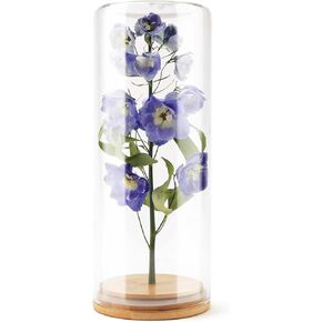 Wisedry Devinative Glass Jar Display مع قاعدة الخيزران للزهور المجففة 2.6 '× 7.1' ' in Kuwait