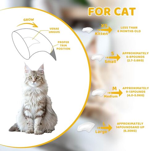 Cat Nail Caps with Glue - 20pcs Pet Kitten Cat Claw Caps Cat Claw Covers for Small Medium Large Cats - Crystal Gold M in Kuwait