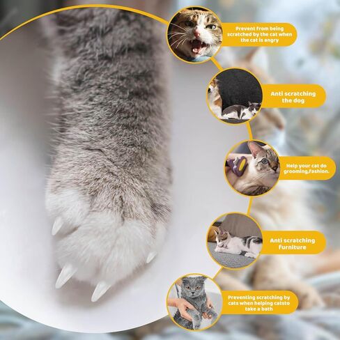 Cat Nail Caps with Glue - 20pcs Pet Kitten Cat Claw Caps Cat Claw Covers for Small Medium Large Cats - Crystal Gold M in Kuwait