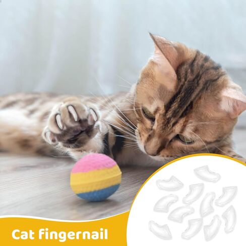 Cat Nail Caps with Glue - 20pcs Pet Kitten Cat Claw Caps Cat Claw Covers for Small Medium Large Cats - Crystal Gold M in Kuwait