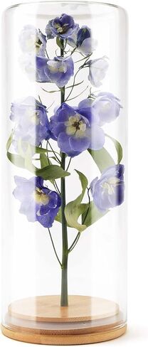 Wisedry Devinative Glass Jar Display مع قاعدة الخيزران للزهور المجففة 2.6 '× 7.1' ' in Kuwait