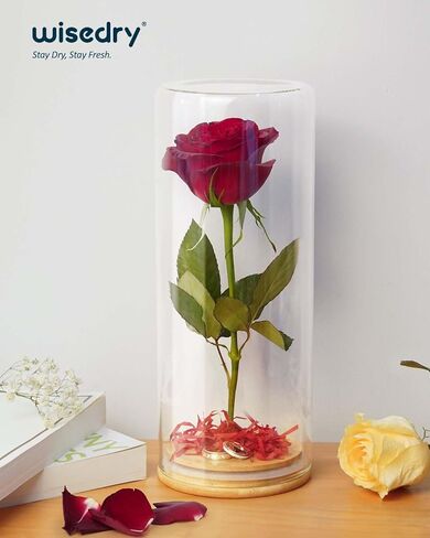Wisedry Devinative Glass Jar Display مع قاعدة الخيزران للزهور المجففة 2.6 '× 7.1' ' in Kuwait