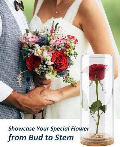 Wisedry Devinative Glass Jar Display مع قاعدة الخيزران للزهور المجففة 2.6 '× 7.1' ' in Kuwait