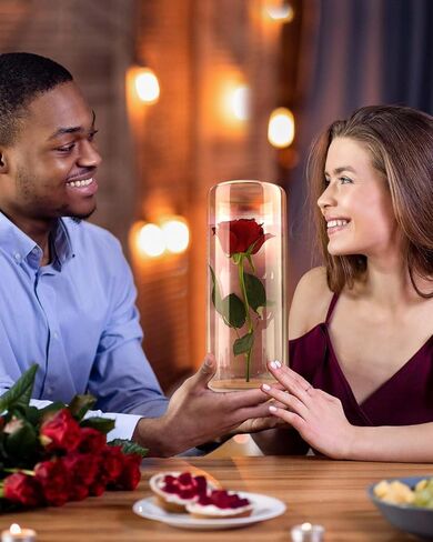 Wisedry Devinative Glass Jar Display مع قاعدة الخيزران للزهور المجففة 2.6 '× 7.1' ' in Kuwait