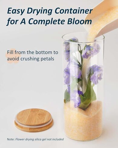 Wisedry Devinative Glass Jar Display مع قاعدة الخيزران للزهور المجففة 2.6 '× 7.1' ' in Kuwait