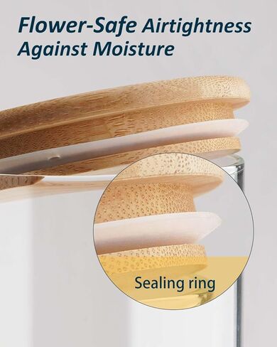 Wisedry Devinative Glass Jar Display مع قاعدة الخيزران للزهور المجففة 2.6 '× 7.1' ' in Kuwait