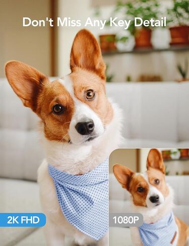 كاميرا الأمان الداخلية في GNCC ، وكاميرات 2K للأمن المنزلي مع اكتشاف الحركة ، وكاميرا الطفل/الحيوانات الأليفة مع تطبيق الهاتف ، والرؤية الليلية ، والصوت ثنائي الاتجاه ، وتخزين TF/Cloud ، يعمل مع Alexa & Google Home ، 2.4G WiFi in Kuwait