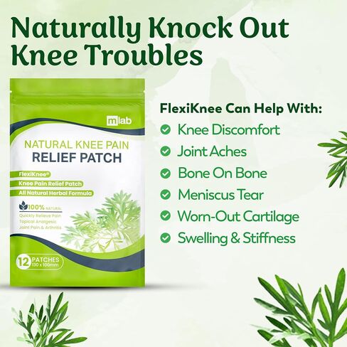 FlexiShoulder Natural Shoulder Relief Patch - Transdermal Herbal Warming Patches with Wormwood - Long Lasting Help for Muscle, Joint & Rotator Cuff Tension, Stiffness, Strain, Discomfort - 12 Pack in Saudi Arabia