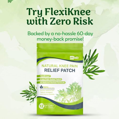FlexiShoulder Natural Shoulder Relief Patch - Transdermal Herbal Warming Patches with Wormwood - Long Lasting Help for Muscle, Joint & Rotator Cuff Tension, Stiffness, Strain, Discomfort - 12 Pack in Saudi Arabia