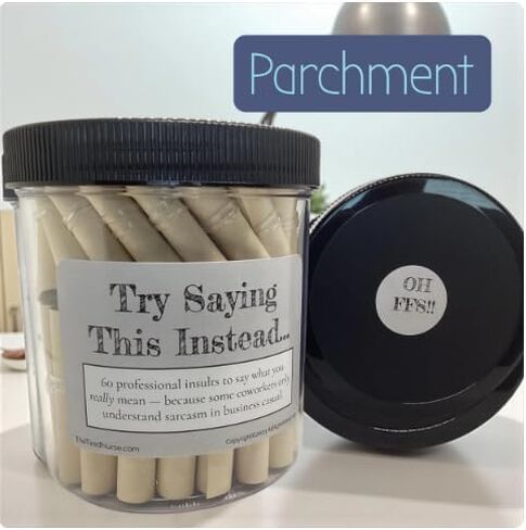 Professional Insults Affirmation Jar - Try Saying This Instead - Fun and Witty Affirmations for Work - Unique Gift for Office Humor (Classic White) in Saudi Arabia