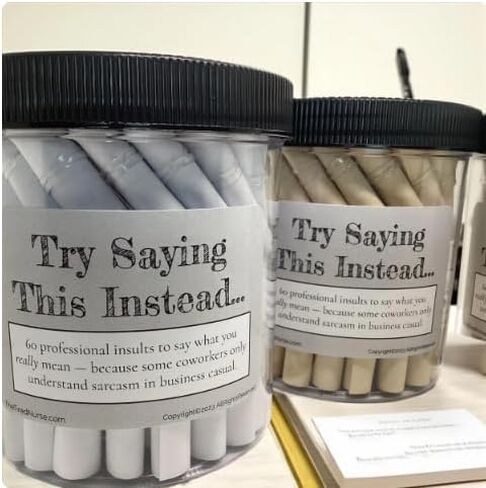 Professional Insults Affirmation Jar - Try Saying This Instead - Fun and Witty Affirmations for Work - Unique Gift for Office Humor (Classic White) in Saudi Arabia