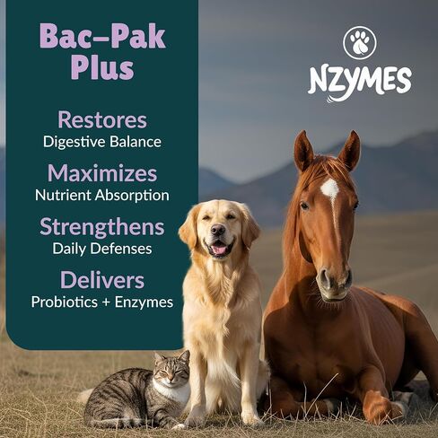 Nzymes® Bac-Pak Plus 100 Grams Digestive Enzymes and Probiotics for Digestion, Loose Stools, Diarrhea, Constipation, Improved Nutrient Uptake - Made in The USA in Saudi Arabia