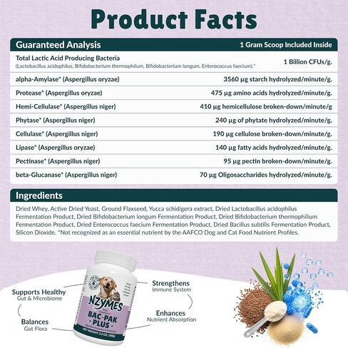 Nzymes® Bac-Pak Plus 100 Grams Digestive Enzymes and Probiotics for Digestion, Loose Stools, Diarrhea, Constipation, Improved Nutrient Uptake - Made in The USA in Saudi Arabia