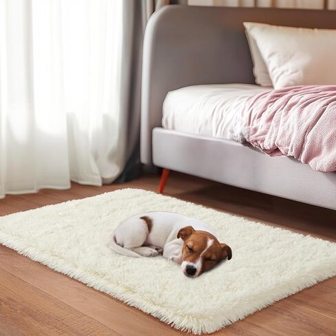8x10 Area Rugs for Living Room, Ultra Soft Fluffy Shag Floor Carpet, Modern Indoor Plush Fuzzy Rugs for Bedroom Kids Room Nursery Dorm Home Decor Aesthetic, Cream White in Saudi Arabia