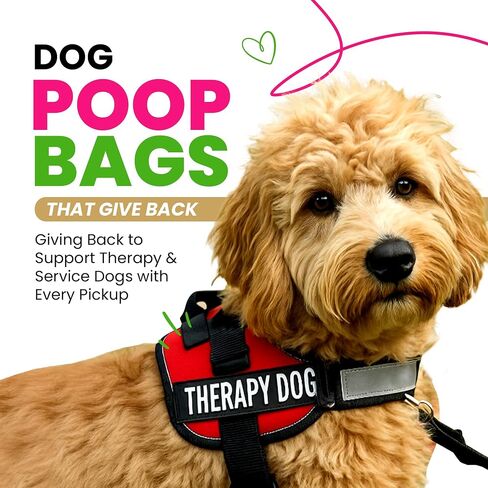 Dog Poop Bags - 120 Count Pet Waste Bags, Unscented, Extra Thick & Leakproof, Plant-Based PLA + PBAT, Hey Stinky Funny Printed Design, Easy Open, Fits All Dispensers in Saudi Arabia