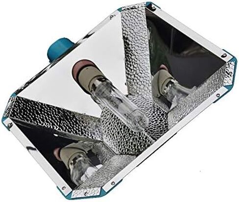 315W CMH Reflector in Saudi Arabia