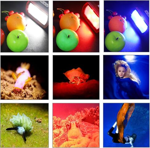 مصباح فيديو LED للغوص، مصباح غوص SL-21 متوافق مع Gopro، مصباح يدوي مقاوم للماء بطول 130 قدم/40 متر باللون الأبيض والأحمر والأزرق، ومصابيح ملء الكاميرا تحت الماء 3500 لومن مع محول YS برأس كروي in Kuwait
