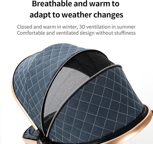2 in 1 Baby Stroller with Bassinet Mode, Reversible Infant Pram, One-Click Folding, Newborn Travel Stroller, Convertible Toddler Standard Pram Carriage (2US588-BG) in Saudi Arabia