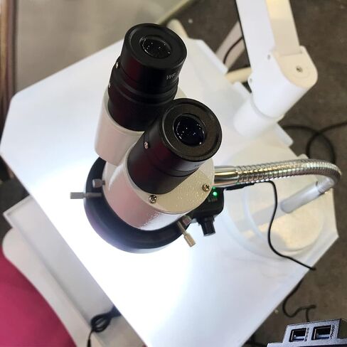 10X Binocular Microscope with LED Light Lamp 360 Rotatable Gooseneck Arm for Dental Lab Workshop Phone PCB Soldering Repair Tool Adjustable Hose in Saudi Arabia
