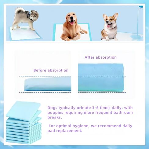 Dog Pee pad - Medium (23.5" x 17.5") | 6-Layer Leak-Resistant Design | High-Capacity Absorbent Core & Quick-Dry Surface (Medium, Count, 100) in Saudi Arabia