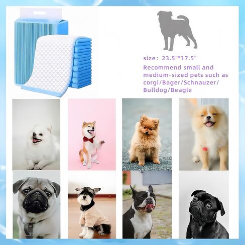 Dog Pee pad - Medium (23.5" x 17.5") | 6-Layer Leak-Resistant Design | High-Capacity Absorbent Core & Quick-Dry Surface (Medium, Count, 100) in Saudi Arabia