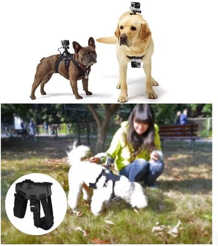 Action Camera Pet Dog Harness (Hero10/9/8/7 Compatible): Combined Chest Strap & Back Strap Style in Saudi Arabia