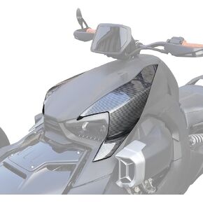 SAUTVS Carbon Fiber Pattern Fairing Panels for Can Am Ryker, Plastic Carbon Fiber Pattern Fairing Panels for Can-Am Ryker 600 900 Sport & Rally Edition Models Accessories (2PCS, Replace #219400803)