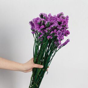 19-23 inches Natural Forget Me Not Pressed Dried Flowers Light Purple Don't Forget Me Dried Flower Real Dried Flowers for Resin Jewelry Candle Card Making Nail Art Flowers DIY Home Decoration