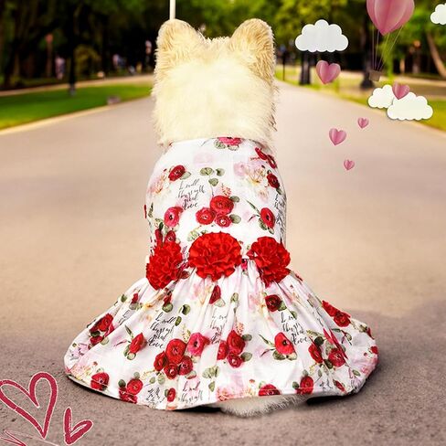 BAMY Flower Dog Dress Valentine's Day Teddy Skirt Rose Cat Clothes Sweet Princess Bomei Costume Pet Tutu for Spring Summer Wedding Party (Rose Red, L) in Saudi Arabia