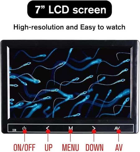 2000X Professional Binocular Biological Microscope, 5MP Digital Eyepiece, 7" LCD, Temperature-Controlled Stage for Lab Use in Saudi Arabia