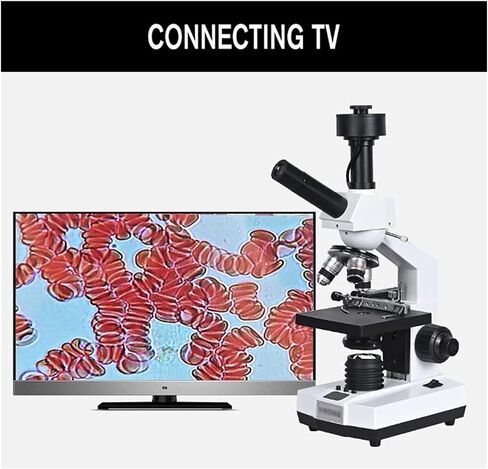 2000X Professional Binocular Biological Microscope, 5MP Digital Eyepiece, 7" LCD, Temperature-Controlled Stage for Lab Use in Saudi Arabia