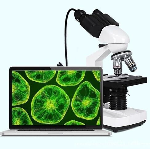Binocular Biological Microscope 2500X with Retractable Objective Lens, 360° Rotating Tube & Adjustable LED Lighting in Saudi Arabia