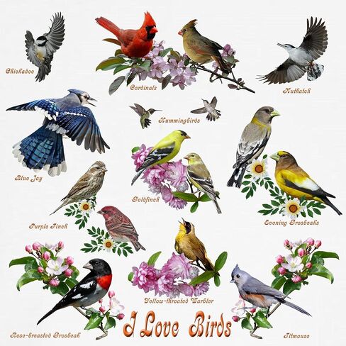 تي شيرت CafePress I Love Birds للأطفال الصغار برسومات لطيفة للأطفال الصغار، 100% قطن in Saudi Arabia