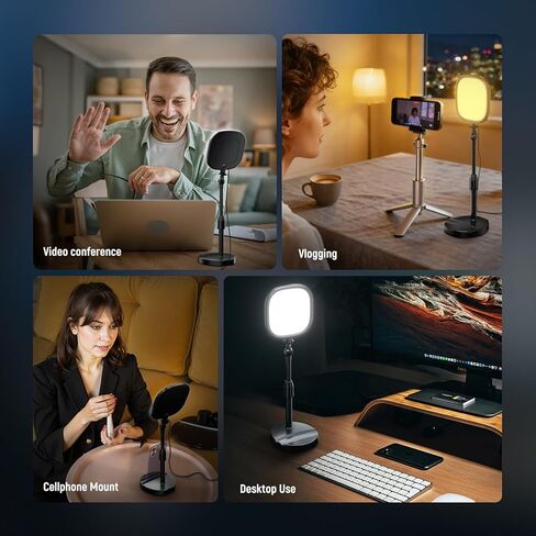 NEEWER Basics 5" Desk Light for Video Calls, CRI95 Full Screen LED Ring Light with Stand, 10W Bi Color Edge Lit Zoom Conference Lighting for Computer Laptop Webcam Phone Streaming Recording, NL10 in Saudi Arabia