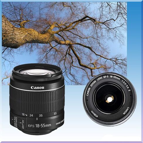 كاميرا Canon EOS Rebel T7 DSLR مع عدسة EF-s مقاس 18-55 مم f/3.5-5.6 II وعدسة EF مقاس 75-300 مم f/4-5.6 III + عدسة محددة مسبقًا مقاس 500 مم + ذاكرة عالية السرعة سعة 32 جيجابايت + حقيبة كتف + حامل ثلاثي القوائم + حزمة ملحقات كاملة in Saudi Arabia