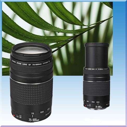كاميرا Canon EOS Rebel T7 DSLR مع عدسة EF-s مقاس 18-55 مم f/3.5-5.6 II وعدسة EF مقاس 75-300 مم f/4-5.6 III + عدسة محددة مسبقًا مقاس 500 مم + ذاكرة عالية السرعة سعة 32 جيجابايت + حقيبة كتف + حامل ثلاثي القوائم + حزمة ملحقات كاملة in Saudi Arabia