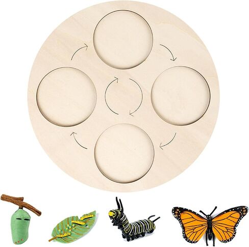 Montessori Life Growth Cycle Board Early #Educational for Preschool Kids, Butterfly in Saudi Arabia