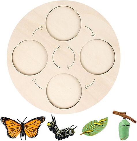 Montessori Life Growth Cycle Board Early #Educational for Preschool Kids, Butterfly in Saudi Arabia