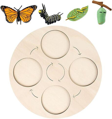 Montessori Life Growth Cycle Board Early #Educational for Preschool Kids, Butterfly in Saudi Arabia