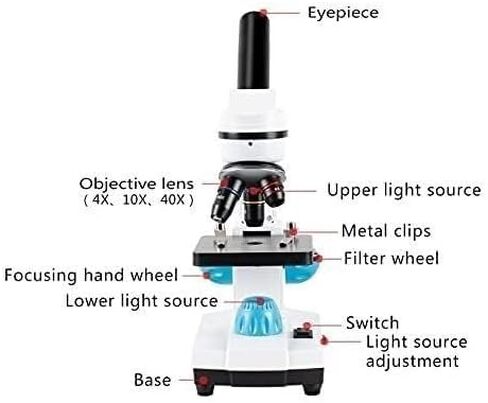 Compound Microscope for Adults & Kids - 100X-2000X High-Power Biological Students, School Lab Home Education, with Slides Set Phone Adapter in Saudi Arabia