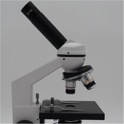 1600X Biological Microscope, WF16X Eyepiece, 4X-100X Objectives for Students, Teaching, Livestock Breeding & Research in Saudi Arabia