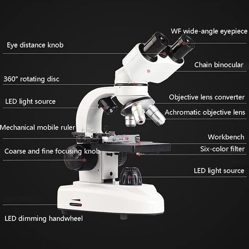 Compound Binocular Microscope for Kids & Students, 40X-800X Magnification, with Slides Specimens, Lab Equipment School Biology Class Home Science Experiments in Saudi Arabia