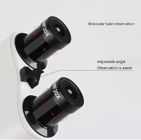 Compound Binocular Microscope for Kids & Students, 40X-800X Magnification, with Slides Specimens, Lab Equipment School Biology Class Home Science Experiments in Saudi Arabia